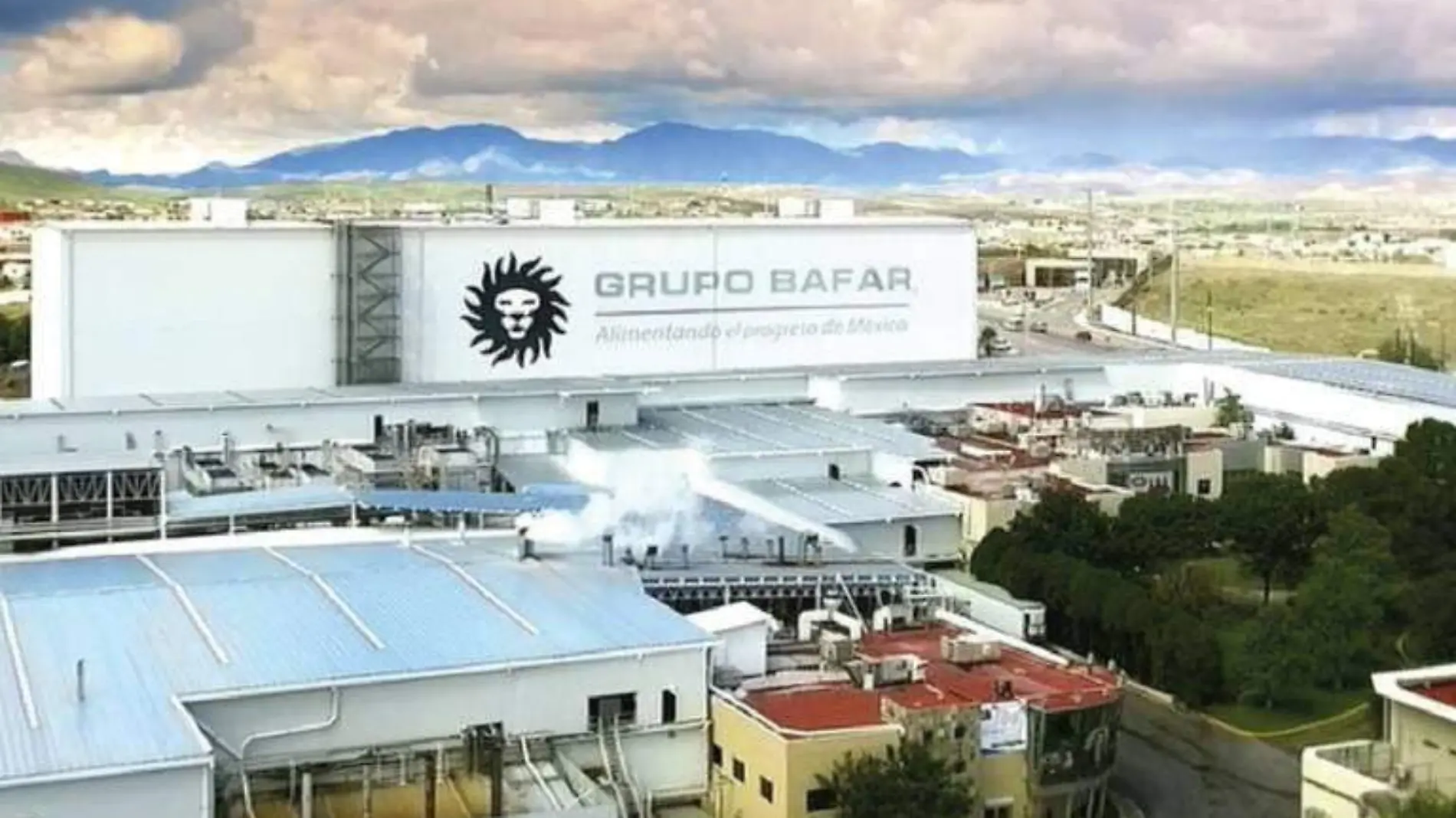 grupo bafar